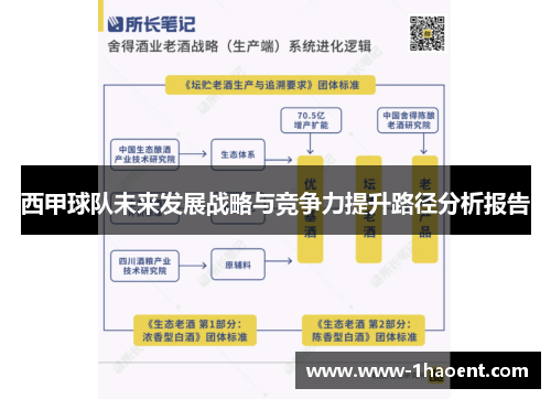 西甲球队未来发展战略与竞争力提升路径分析报告 西甲球队未来发展战略与竞争力提升路径分析报告