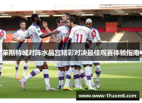 莱斯特城对阵水晶宫精彩对决最佳观赛体验指南 莱斯特城对阵水晶宫精彩对决最佳观赛体验指南