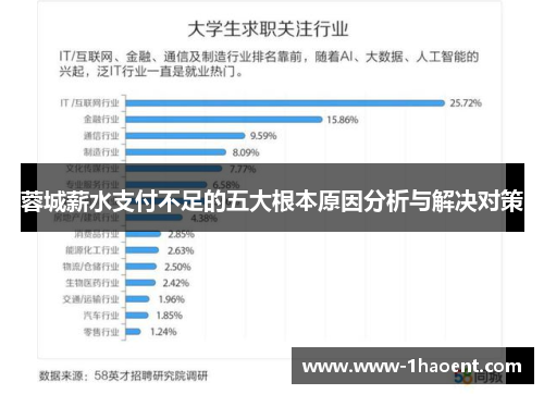 蓉城薪水支付不足的五大根本原因分析与解决对策